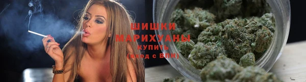 каннабис Беломорск