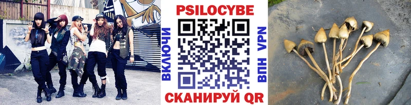как найти закладки  Луховицы  Псилоцибиновые грибы GOLDEN TEACHER 